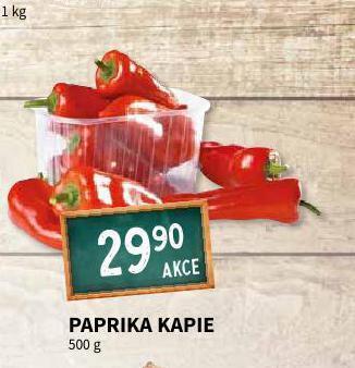 Terno Paprika\ kapie nabídka