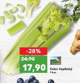 Kaufland Celer řapíkatý nabídka