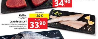 Lidl Candát obecný nabídka