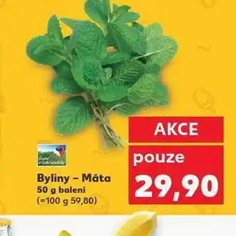 Kaufland Bylinky máta nabídka