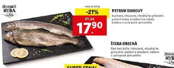 Lidl Pstruh duhový nabídka