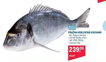 Makro Pražma královská kuchaná 1 kg nabídka