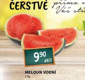 Terno Meloun vodní nabídka