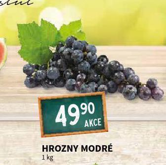 Terno Hrozny modré nabídka