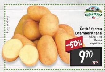 Billa Brambory rané nabídka