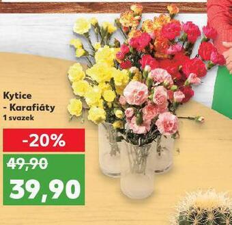Kaufland Kytice - karafiáty nabídka