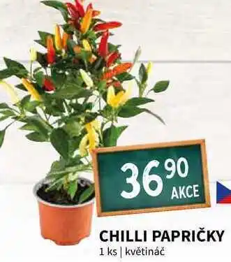 Terno Chilli papričky 1 ks nabídka