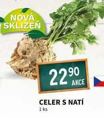 Terno Celer s natí 1 ks nabídka