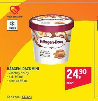Makro Zmrzlina haagen-dazs nabídka
