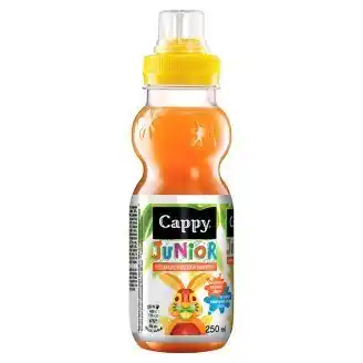 Terno Cappy junior džus 250ml, vybrané druhy nabídka
