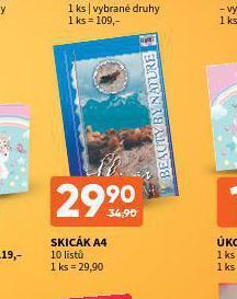 Terno Skicák a4 nabídka