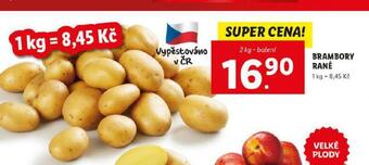Lidl Brambory rané nabídka