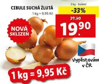 Cibule suchá žlutá