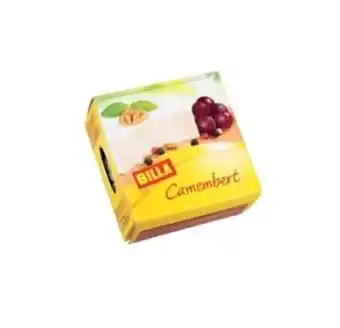 Plísňový sýr camembert