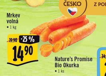 Jip Mrkev nabídka