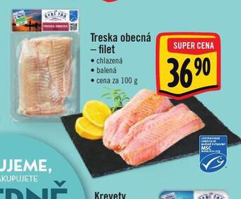 Jip Treska obecná nabídka