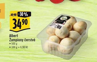 Albert Žampiony nabídka