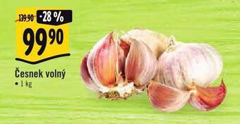 Albert Česnek volný nabídka
