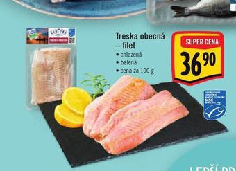 Albert Treska obecná nabídka