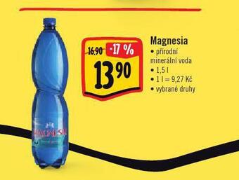 Albert Magnesia nabídka