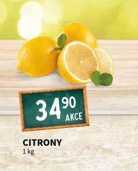 Terno Citrony nabídka