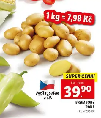 Lidl Brambory nabídka