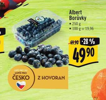Jip Borůvky nabídka