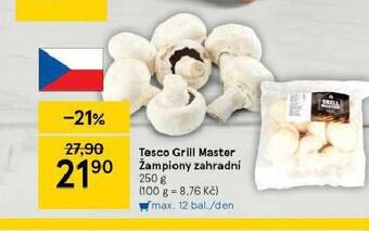 Tesco Žampiony zahradní nabídka