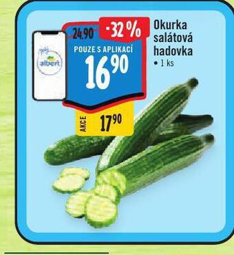Albert Okurka salátová nabídka
