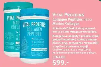 Rossmann Vital proteins collagen peptides nebo bet marine collagen nabídka