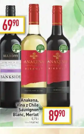 Billa Anakena, vína z chile sauvignon blanc, merlot nabídka
