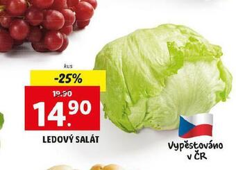 Lidl Ledový salát nabídka
