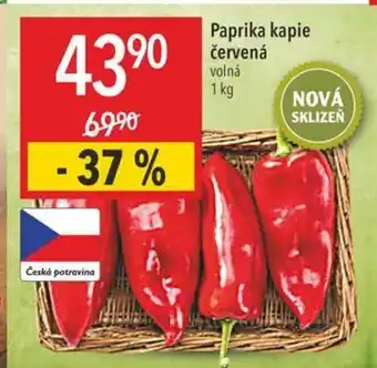 Globus Paprika kapie červená 1 kg nabídka