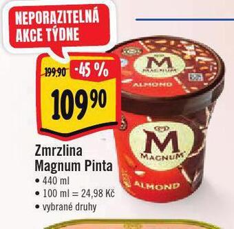 Jip Zmrzlina magnum pinta nabídka