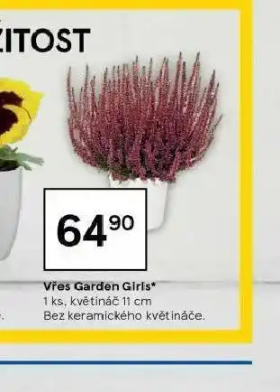 Tesco Vřes garden giris nabídka