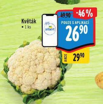 Albert Květák nabídka