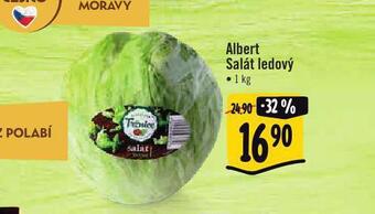 Albert Salát ledový nabídka