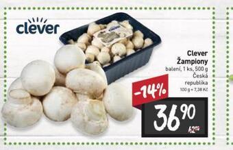 Billa Žampiony nabídka