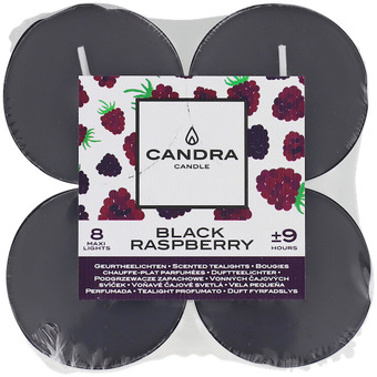 Action Maxi vonné čajové svíčky candra nabídka