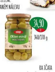 Terno Olivy nabídka