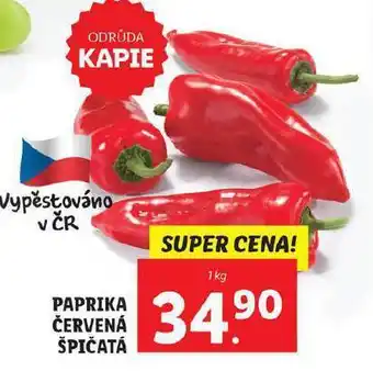 Paprika červená kapie
