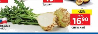 Lidl Celer s natí nabídka
