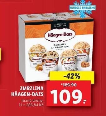Lidl Häagen dazs zmrzlina nabídka
