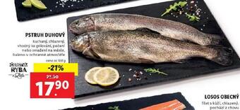 Lidl Pstruh duhový nabídka