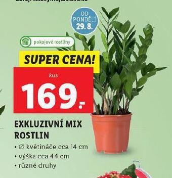Lidl Exkluzivní mix rostlin nabídka