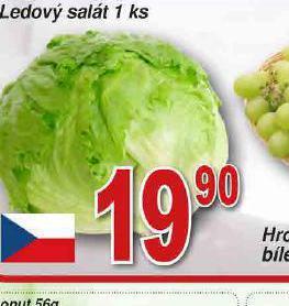 Lidl Ledový salát nabídka