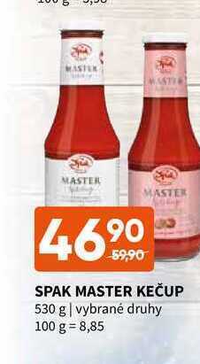 Terno Spak master kečup 530 g nabídka