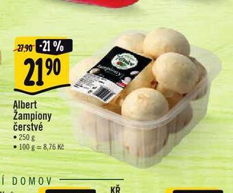 Žampiony čerstvé