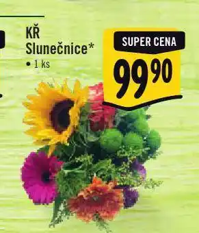 Slunečnice