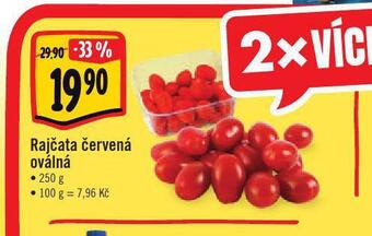 Jip Rajčata červená oválná nabídka